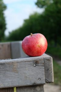 Journée Jus de pommes