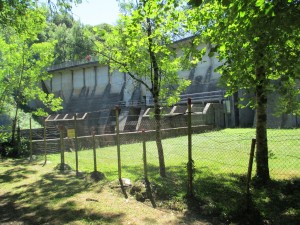 IMG_0849