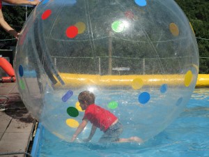 IMG_0871 